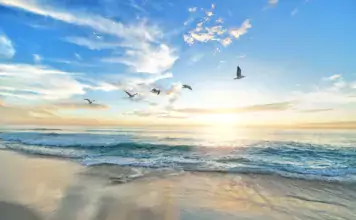 Vögel und ihre Bedeutung in der Astrologie und Sternenkunde. Vögel und ihre Bedeutung in der Astrologie und Sternenkunde.