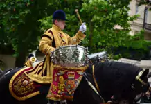 Pferde und ihre Rolle in der Geschichte der Musikinstrumente und musikalischen Darbietungen