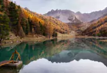 Die Rolle von Katzen in der Kunst und Literatur. Die Rolle von Katzen in der Kunst und Literatur.