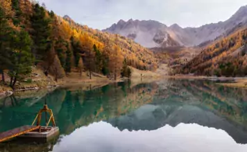 Die Rolle von Katzen in der Kunst und Literatur. Die Rolle von Katzen in der Kunst und Literatur.