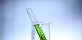 Grüne Algenprobe in einem Reagenzglas