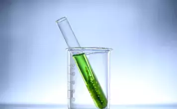 Die besten Techniken zur Kontrolle von Algen im Riffaquarium