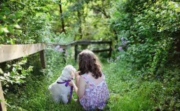 Hunde und Kinder: Tipps für eine sichere Interaktion.
