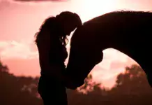 Pferde und ihre Bedeutung in der Trauerarbeit