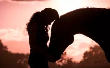 Pferde und ihre Bedeutung in der Trauerarbeit