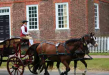 Pferde und ihre Bedeutung in der Geschichte der Entdeckungen und Erforschung der Welt