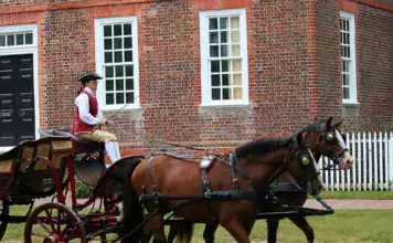 Pferde und ihre Bedeutung in der Geschichte der Entdeckungen und Erforschung der Welt