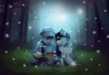 Magische Pfoten: Wunderbare Welt der Hunde