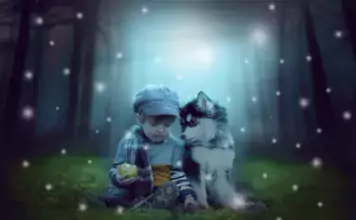 Magische Pfoten: Wunderbare Welt der Hunde