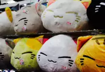 Die coolsten Katzen in der Popkultur: Filme, Serien und Comics.