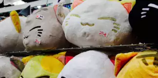 Bunte Katzen-Plüschtiere mit aufgestickten Gesichtern