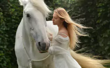 Pferde und ihre Bedeutung in der Volksheilkunde