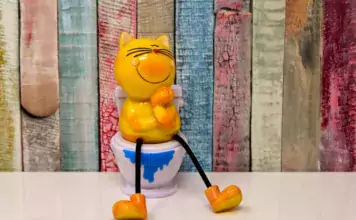 Katzenklo-Tipps: Sauberkeit, Platzierung und verschiedene Arten von Katzentoiletten. Katzenklo-Tipps: Sauberkeit, Platzierung und verschiedene Arten von Katzentoiletten.