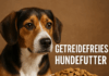 Getreidefreies Hundefutter – Ist es wirklich gesünder? getreidefreies Hundefutter