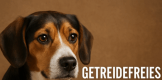 getreidefreies Hundefutter