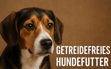 Getreidefreies Hundefutter – Ist es wirklich gesünder? getreidefreies Hundefutter
